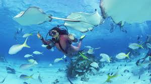 Aruba Scuba Diving Tour