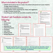 As you capture the moths most easily visible against the tree surface, the moth populations change, illustrating the effects of natural selection. Evolution Lab Modeling Natural Selection By Amy Brown Science Tpt