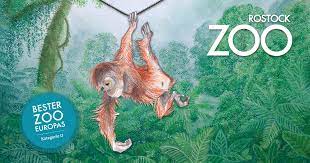 When was the first polar bear born in rostock zoo? Zoo Rostock Bester Zoo Europas I Sehenswurdigkeiten An Der Ostsee