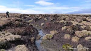hike across peat bogs: fear no moor