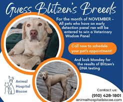 Animal Hospital Biscoe