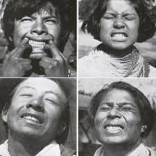 Welcome to Nourishing Traditions!