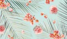 Fondos de pantalla de computadoras. 14 Ideas De Fondos De Pantallas Para Pc Fondos De Pantalla Ordenador Fondos Para Computadora Fondo De Pantalla Mac