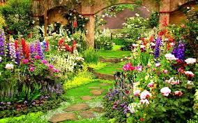Early Start Your Spring Garden Spring Garden Flowers Outdoor Flowers Flower Garden