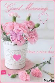 Good Morning Good Morning Greetings Good Morning Flowers Good Morning