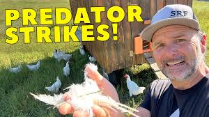 Stoney Ridge Farmer added a new photo.