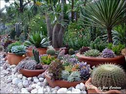 They often have a brightly colored top and many stay small. Top 60 Stunning Cactus Landscaping Ideas For Beautiful Yard Https Freshoom Com 14554 60 Stunning Cactu Cactus Garden Design Succulent Landscaping Succulents