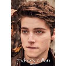 Twilight Vampire Stories