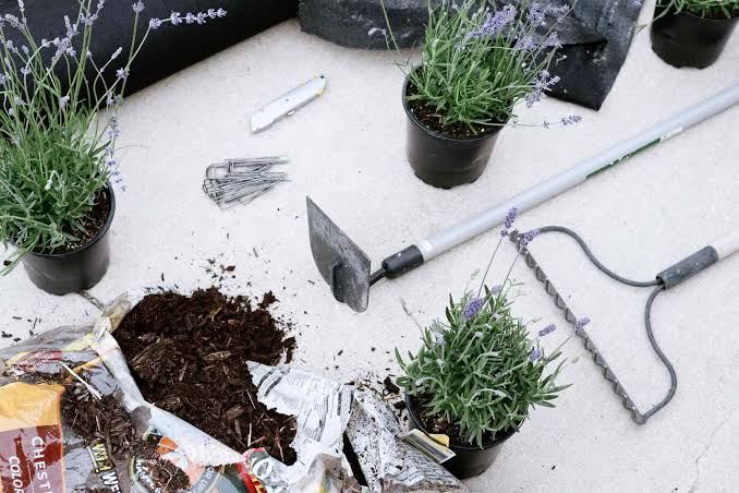 How to Install Landscape Fabric for Weed Control