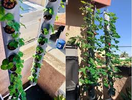 Maybe you would like to learn more about one of these? Suitemade Vertical Grow Tower