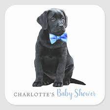 Labrador Puppy Dog Blue Boy Baby Shower Square Sticker Zazzle Com In 2021 Dog Baby Shower Puppy Baby Shower Puppy Baby Shower Theme