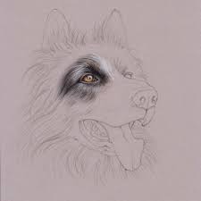 We did not find results for: Uart Tip Drawing Fur With Colored Pencils Step By Step