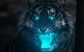 Blue Tiger Wallpapers Top Free Blue Tiger Backgrounds Wallpaperaccess Largest member of the cat family, these tigers are known for their strength and ferocity. blue tiger wallpapers top free blue