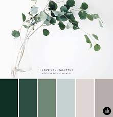 A Eucalyptus Inspired Color Palette Creative Brands For Creative People Akula Kreative Bunte Hauser Wandgestaltung Ideen Grune Farbpalette