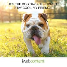 Check spelling or type a new query. Iwebcontent