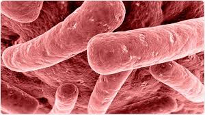 Botulism is a rare but potentially fatal illness caused by a toxin produced by the bacteria clostridium botulinum.the illness targets your nervous system and can lead to paralysis and respiratory. Demande De Reglement Et Prevention De Botulisme