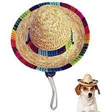Pin On Casquettes Pour Chiens