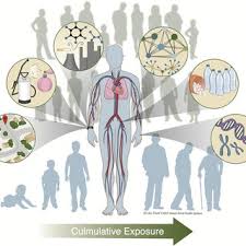To better understand the human exposome, there is a need to measure... |  Download Scientific Diagram
