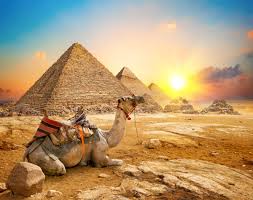 Egypt is located in the northern and eastern hemispheres of the earth. In Depth Analysis 2020 Fintech Ecosystem Developments In Egypt The Fintech Times