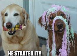 Pin On Silly String Memes