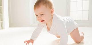 Live Chennai Household Dust Can Decline Iq Level In Kids Household Dust Health Problems Iq Level In Kids