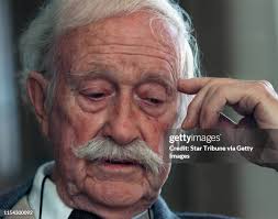 59 Stuffed Raccoon Stock Photos, High-Res Pictures, and Images