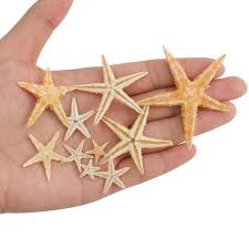Dried starfish provide natural decorations for your home and can especially enhance a beach theme decor. 1 Box Natural Starfish Seashell Beach Craft Natural Sea Stars Diy Beach Wedding Decoration Crafts Home Decor Epoxy 1 5cm Leather Bag