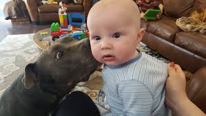 Photos: Gazette reader photographs