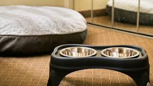 74 state route 64, grand canyon, az. Grand Canyon Pet Friendly Hotels Best Western Grand Canyon Squire Inn