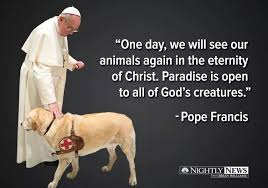 Yes All Animals Go To Heaven And They Are All With St Francis Of Assisi Saint Of Animals Dogquotes Dogs Pope Francis Dog Quotes