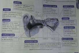 Form 2 science chapter 7 1. Learn Science Form 2 Chapter 1 Lesson 5 Wattpad