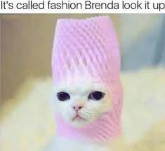 It S Called Fashion Look It Up Know Your Meme