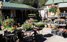 Check spelling or type a new query. Myrtle Creek Botanical Gardens Day Trip Fun Filled Getaway