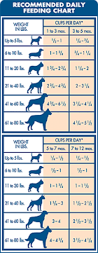 Blue Buffalo Puppy Food Feeding Chart Best Picture Of