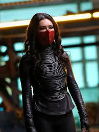 Viešbutis siūlo stulbinantį gamtos grožį, nuostabų apgyvendinimą. Esperanza The Flash Season 7 Episode 14 Tv Fanatic