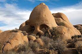Adventure Sports Network The Gateway To Adventure Sports National Parks Joshua Tree National Park Joshua Tree