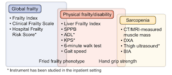 The definition was originally restricted to elderly individuals only. Sarcopenia And Frailty In Decompensated Cirrhosis Journal Of Hepatology