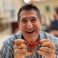 Marky Sparky Toys Information