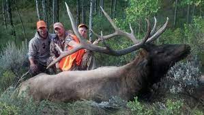 Elk Double D Trophy Outfitters