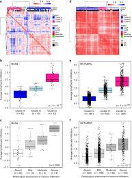 That doesn't mean cancer can't recur beyond five years. An Independent Poor Prognosis Subtype Of Breast Cancer Defined By A Distinct Tumor Immune Microenvironment Nature Communications