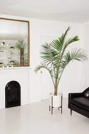 Despite being designed just after wwii, it retains a distinctly modern look that can soften the lines of a room or act as a. Modernica Case Study Ceramic Cylinder Planter Copycatchic
