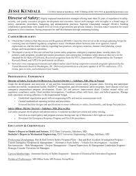 Creating emergency plans, making sure citizen needs are met in case of disaster, managing grant funding for emergency, and collaborating with social institutions. Safety Officer Resume Pdf 2019 Safety Officer Resume Doc 2020 Lebenslauf Vorlage