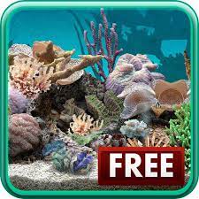 Fish Tank 3d Live Wallpaper Free Download For Pc Aquarium Live Wallpaper Live Wallpapers Wallpaper Free Download