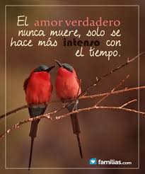 Frases Amor Www Familias Com Frases Sabias Frases Romanticas Frases