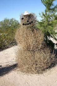 It starts out green and full of life. 44 Tumbleweed Art Ideas Tumbleweed Art Texas Christmas