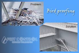 Bird Proofing Service Makes Your Home Free From Birds Bird Control This Or That Questions Pest Birds