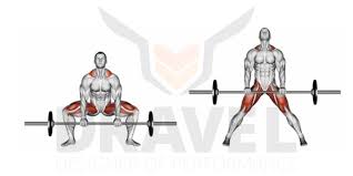 Sans excipients nocifs / fabriqué en france. Le Top 5 De Meilleurs Exercices Pour Le Dos Dravel