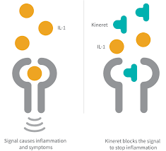 Ikea furniture and home accessories are practical, well designed and affordable. Kineret Anakinra Official Website Home