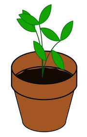 But, light intensity can improve or hinder the way your plants grow. How Plants Grow Text Set