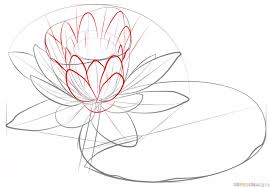 How To Draw A Water Lily And Pad Step By Step Drawing Tutorials For Kids And Beginners Flower Drawing Tutorials Water Lily Drawing Lilies Drawing